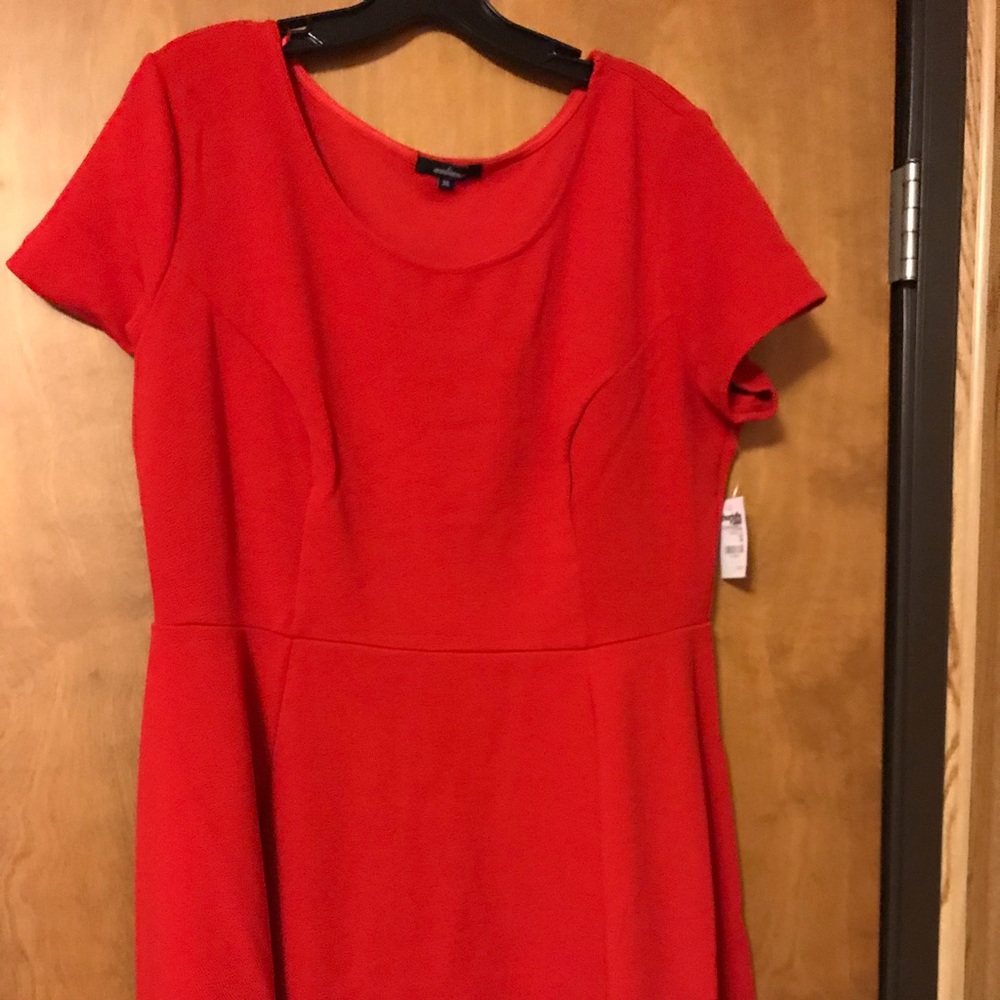 Charlotte Russe Plus Size Skater Dress